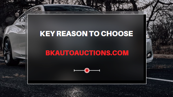 Syndicates Your Listings: BKAutoAuctions.com Explained